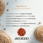 5 Mukhi Rudraksha Bracelet
