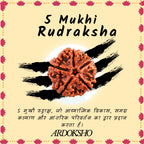Siddh 5 Mukhi Nepali Rudraksha - Paanch Mukhi