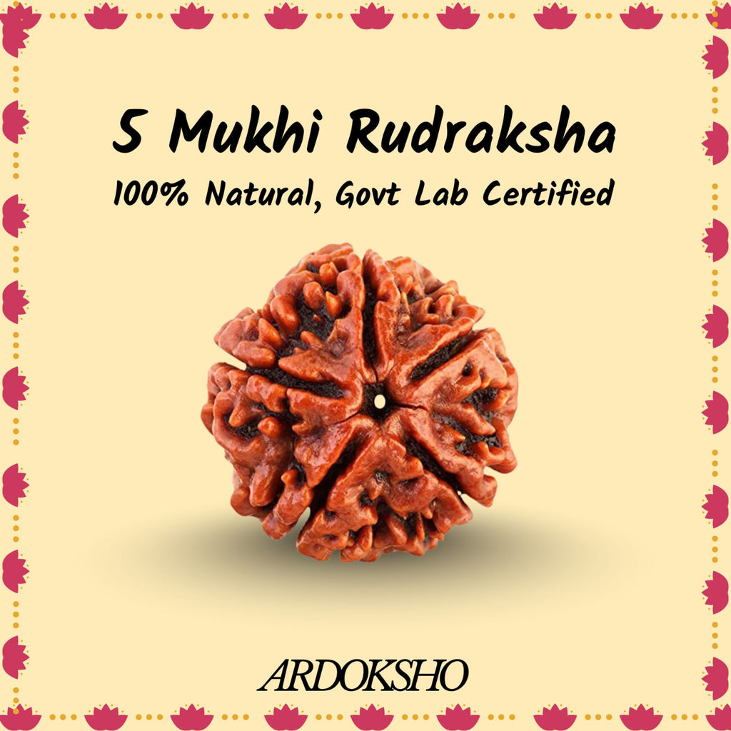 Siddh 5 Mukhi Nepali Rudraksha - Paanch Mukhi