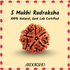 Siddh 5 Mukhi Nepali Rudraksha - Paanch Mukhi