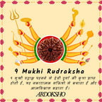 Siddh 9 Mukhi Original Rudraksha