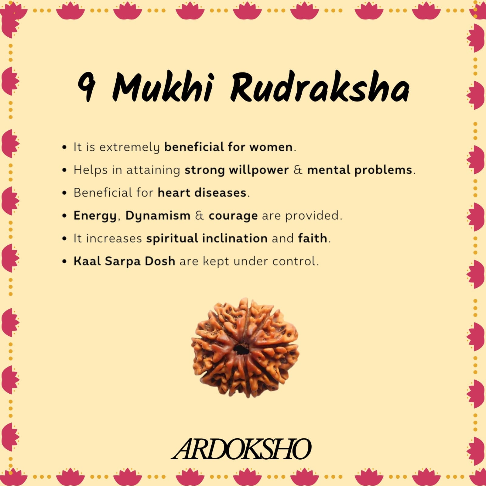 Siddh 9 Mukhi Original Rudraksha