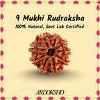 Siddh 9 Mukhi Original Rudraksha