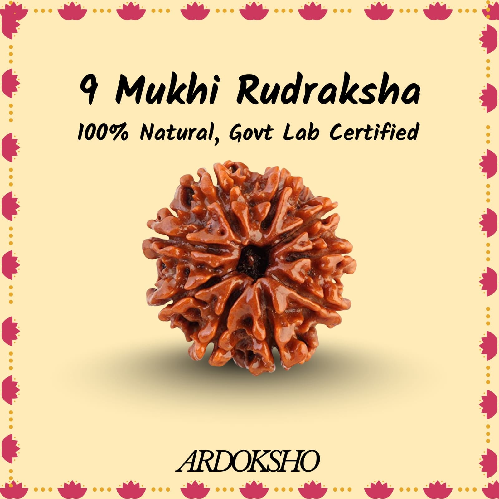 Siddh 9 Mukhi Original Rudraksha
