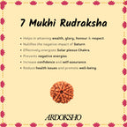 Siddh 7 Mukhi Original Rudraksha