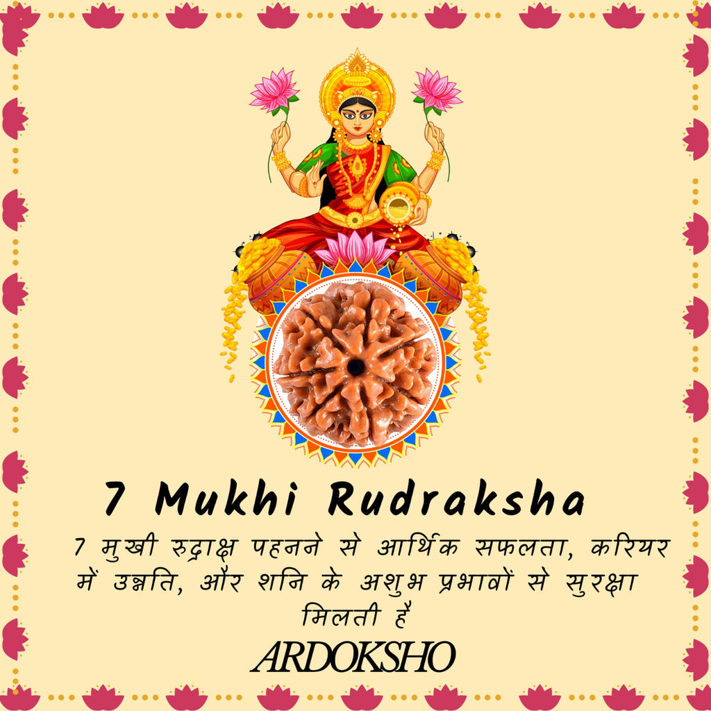 Siddh 7 Mukhi Original Rudraksha