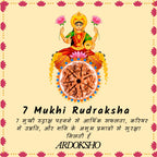Siddh 7 Mukhi Original Rudraksha