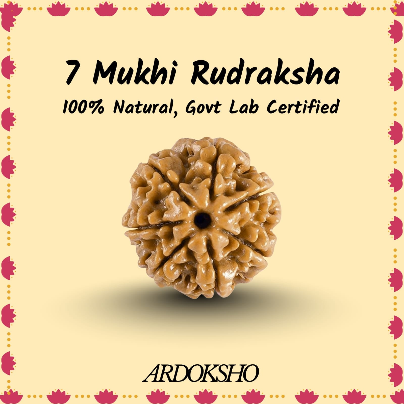 Siddh 7 Mukhi Original Rudraksha